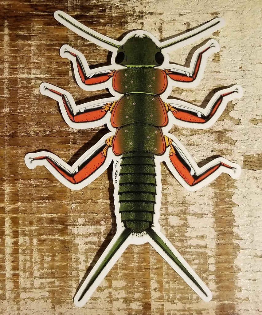 Evan Makuvek Brook Trout Stonefly Stickder