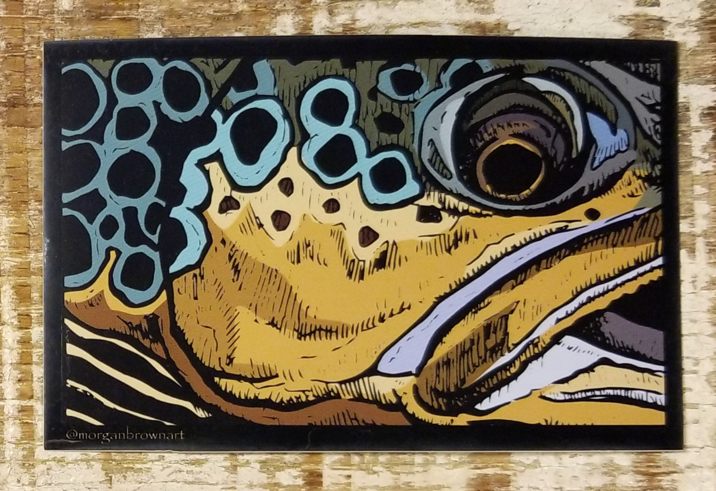 Morgan Brown Brown Trout Sticker