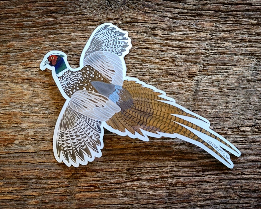 Flying Pheasant Sticker