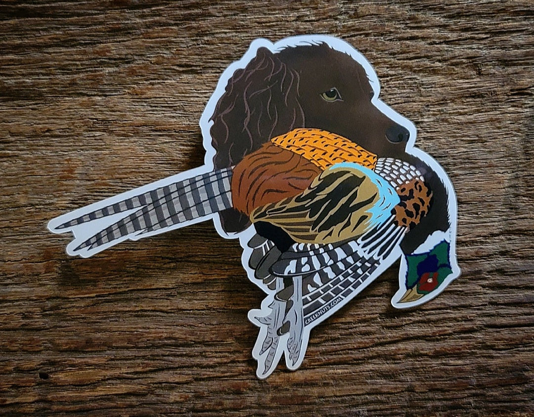 Boykin Spaniel with Pheasant Sticker