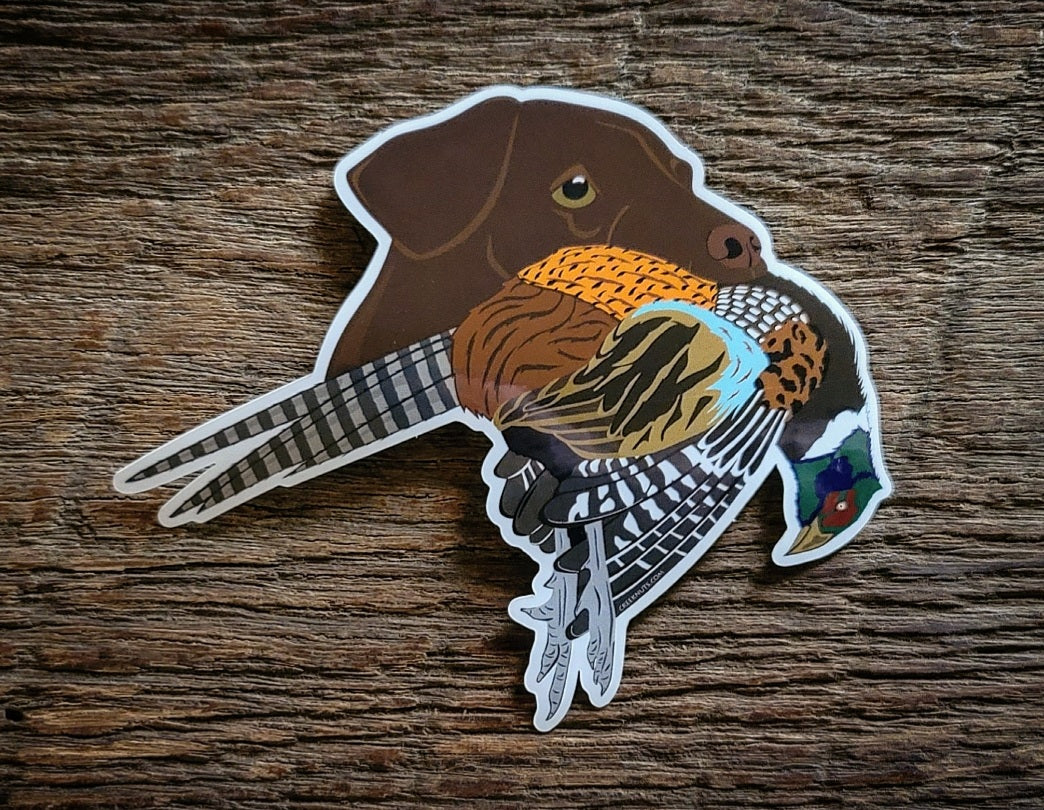 Chocolate Labrador Retriever with Pheasant Sticker