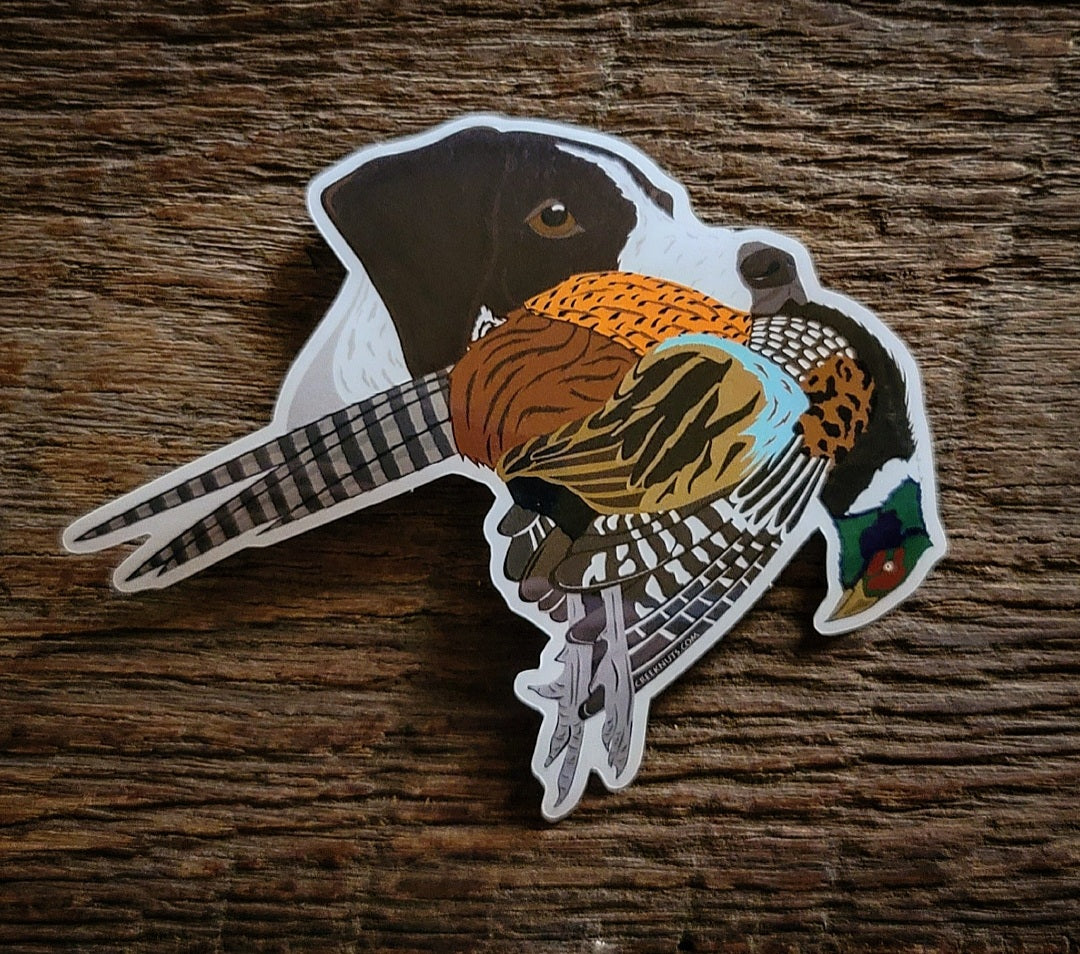 German Shorthaired Pointer with Pheasant Sticker