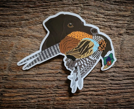 Liver German Shorthaired Pointer with Pheasant Sticker