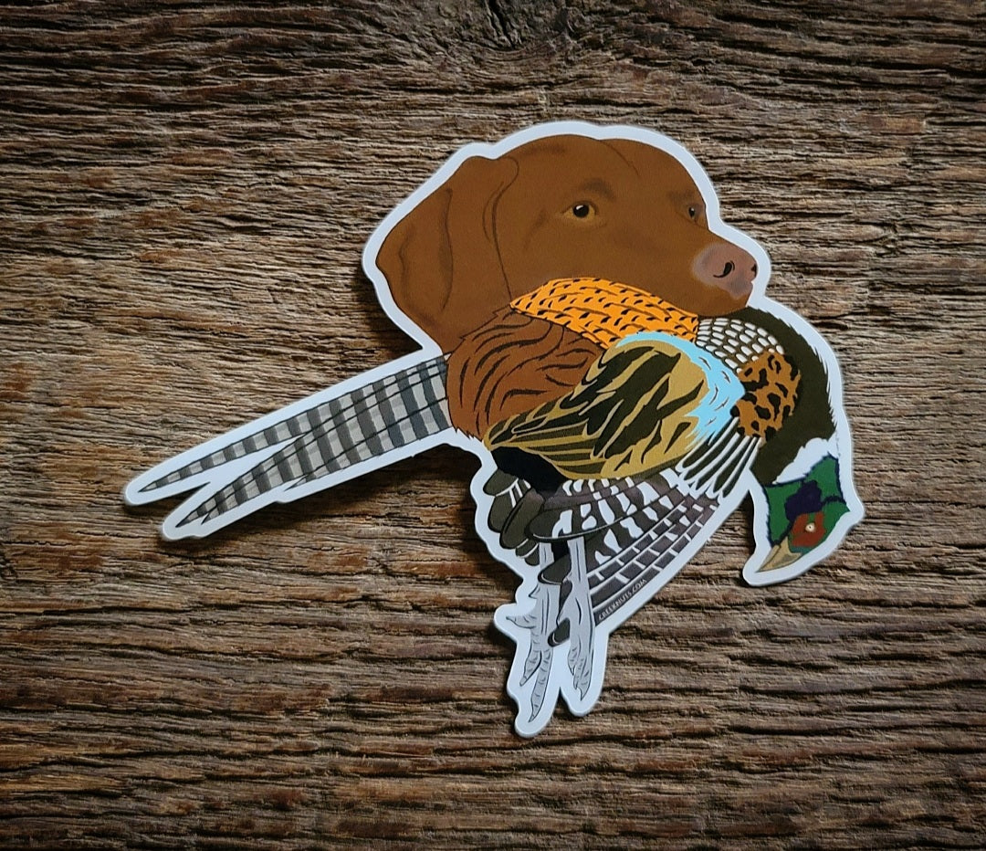 Vizsla with Pheasant Sticker