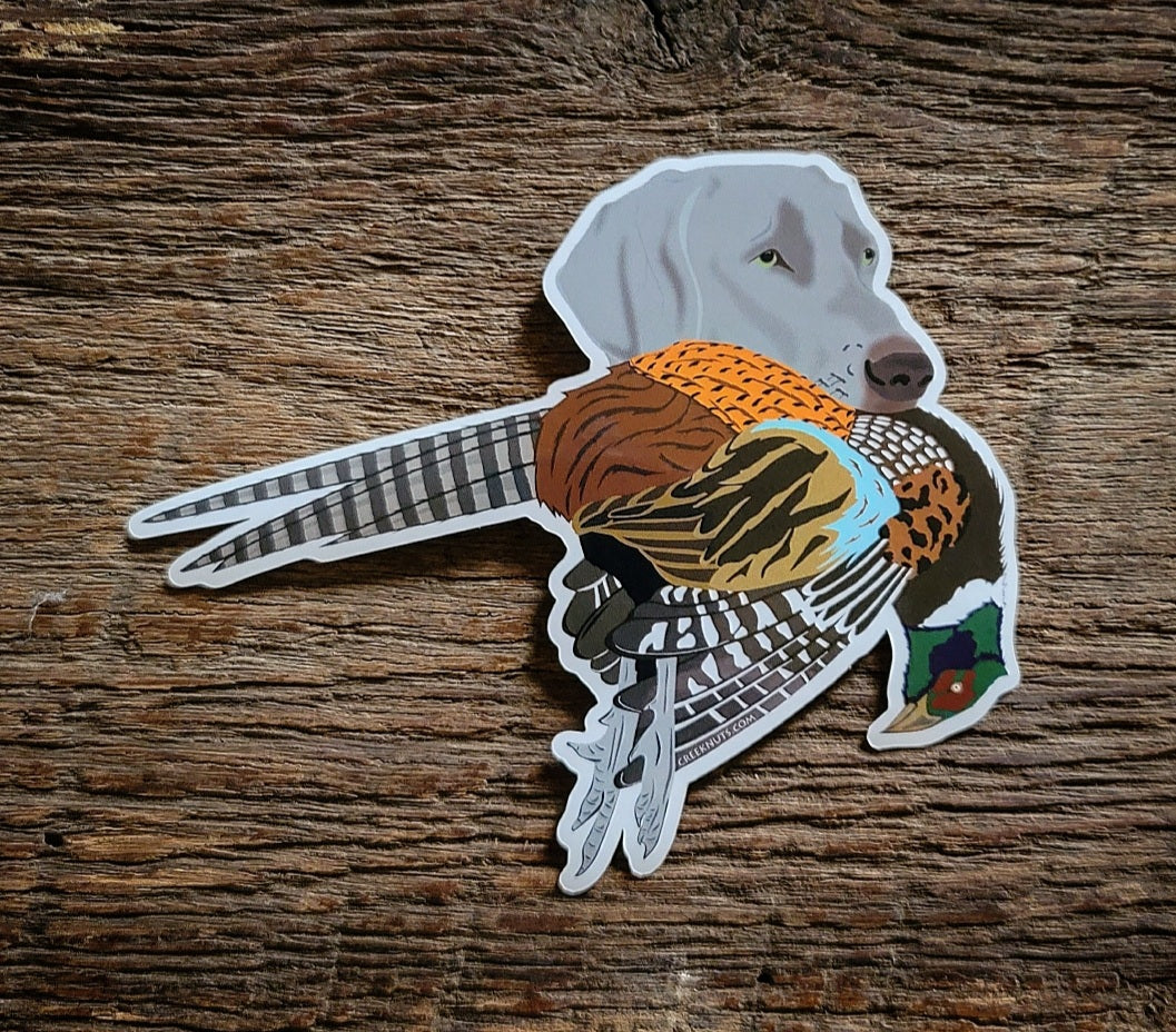 Weimaraner with Pheasant Sticker