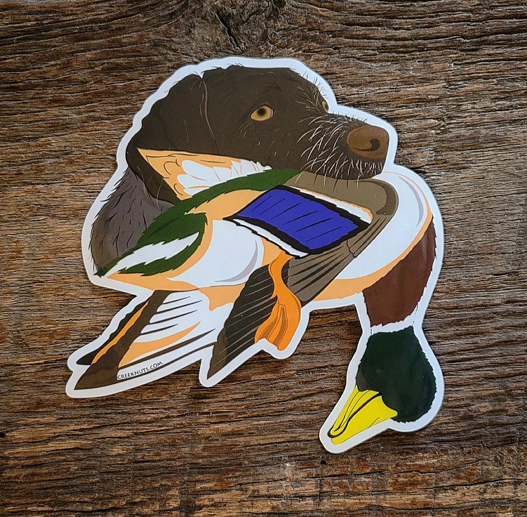 German Wirehaired Pointer with Mallard Duck Sticker