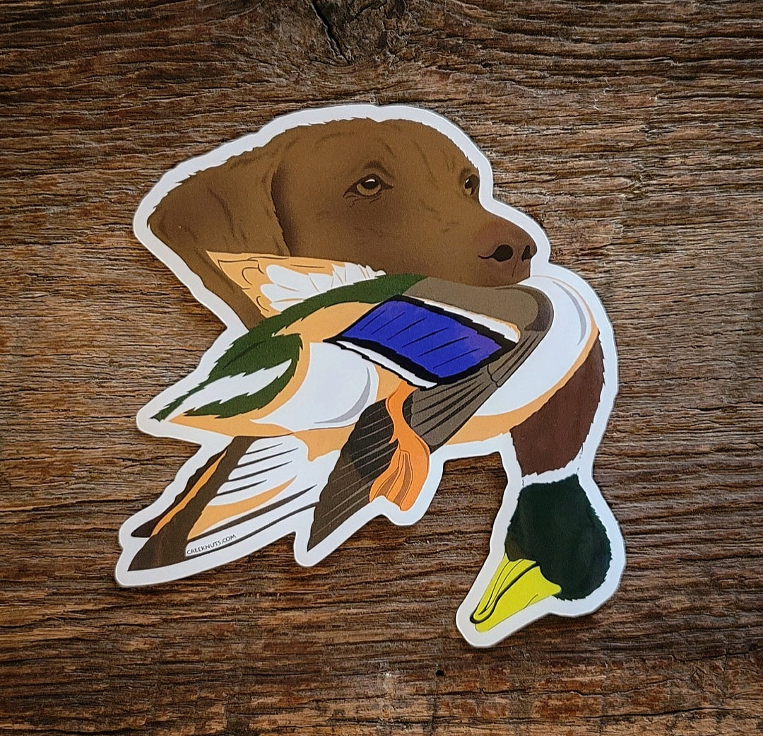 Chesapeake Bay Retriever with Mallard Duck Sticker
