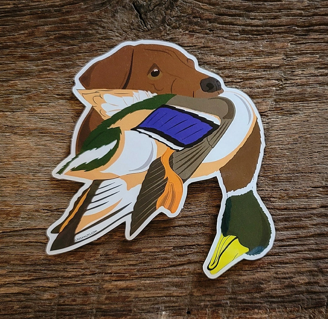 Red Labrador Retriever with Mallard Duck Sticker
