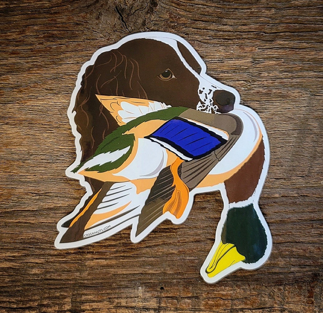 Springer Spaniel with Mallard Duck Sticker