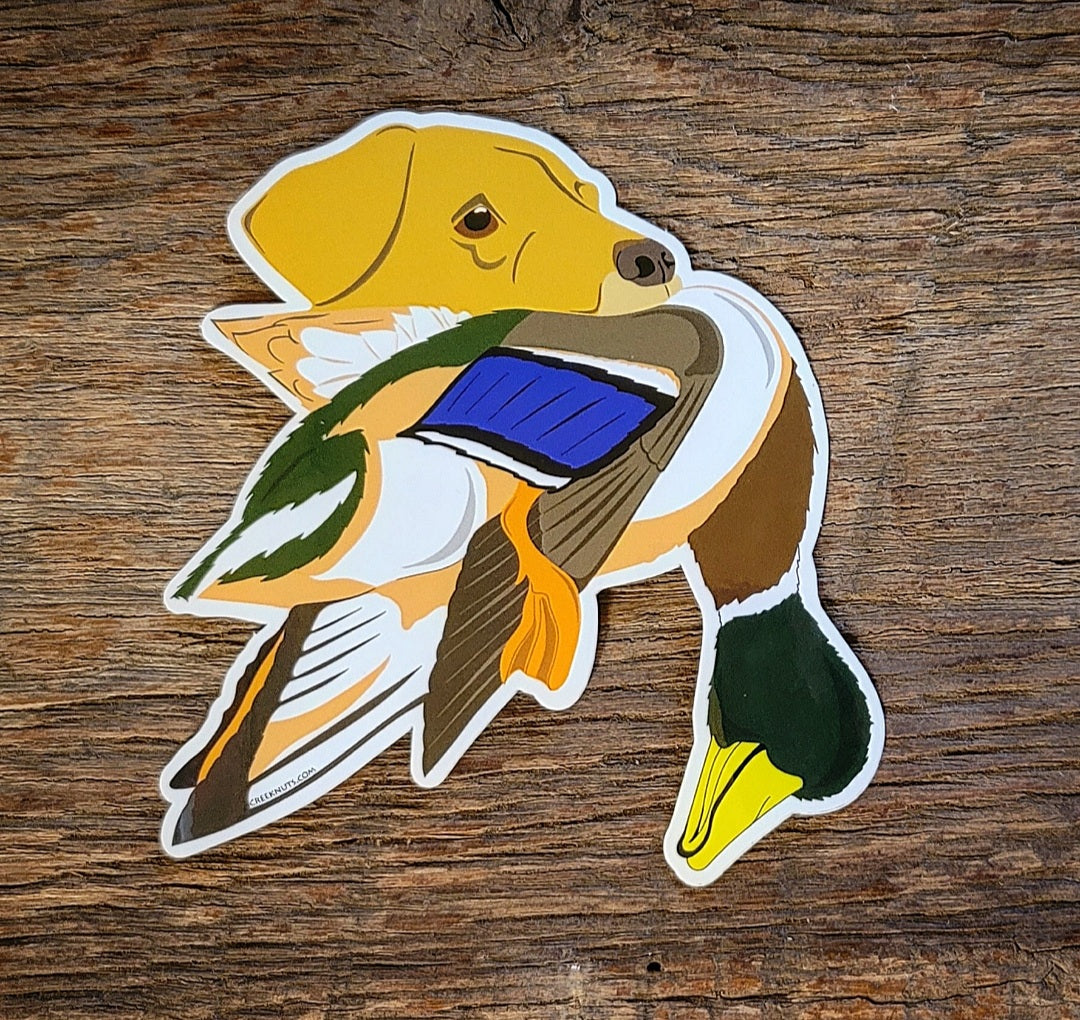 Yellow Labrador Retriever with Mallard Duck Stickers