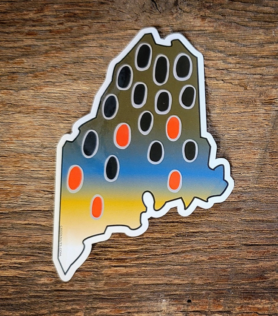 Maine Brown Trout Sticker