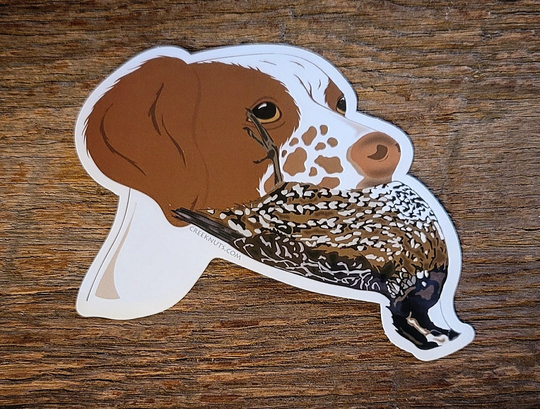 Brittany Spaniel with Quail Sticker