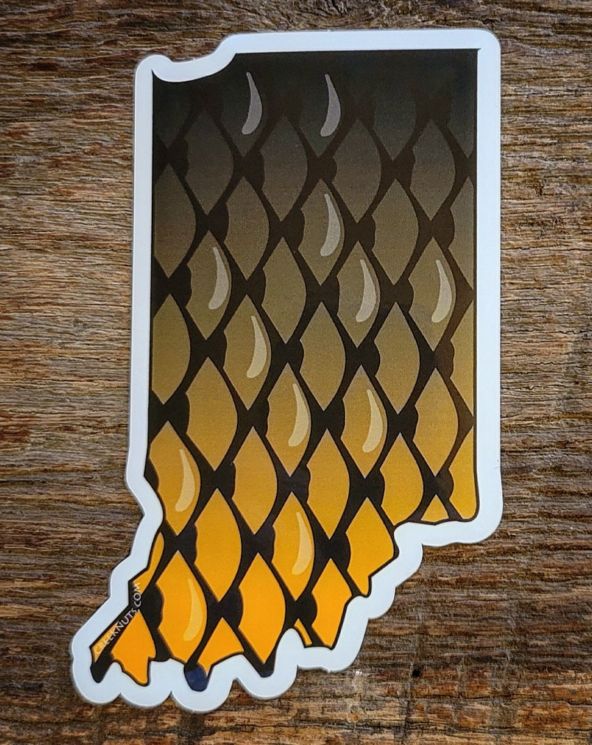 Indiana Carp Sticker
