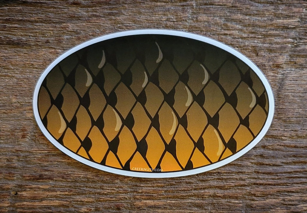 Carp Oval Skin Sticker