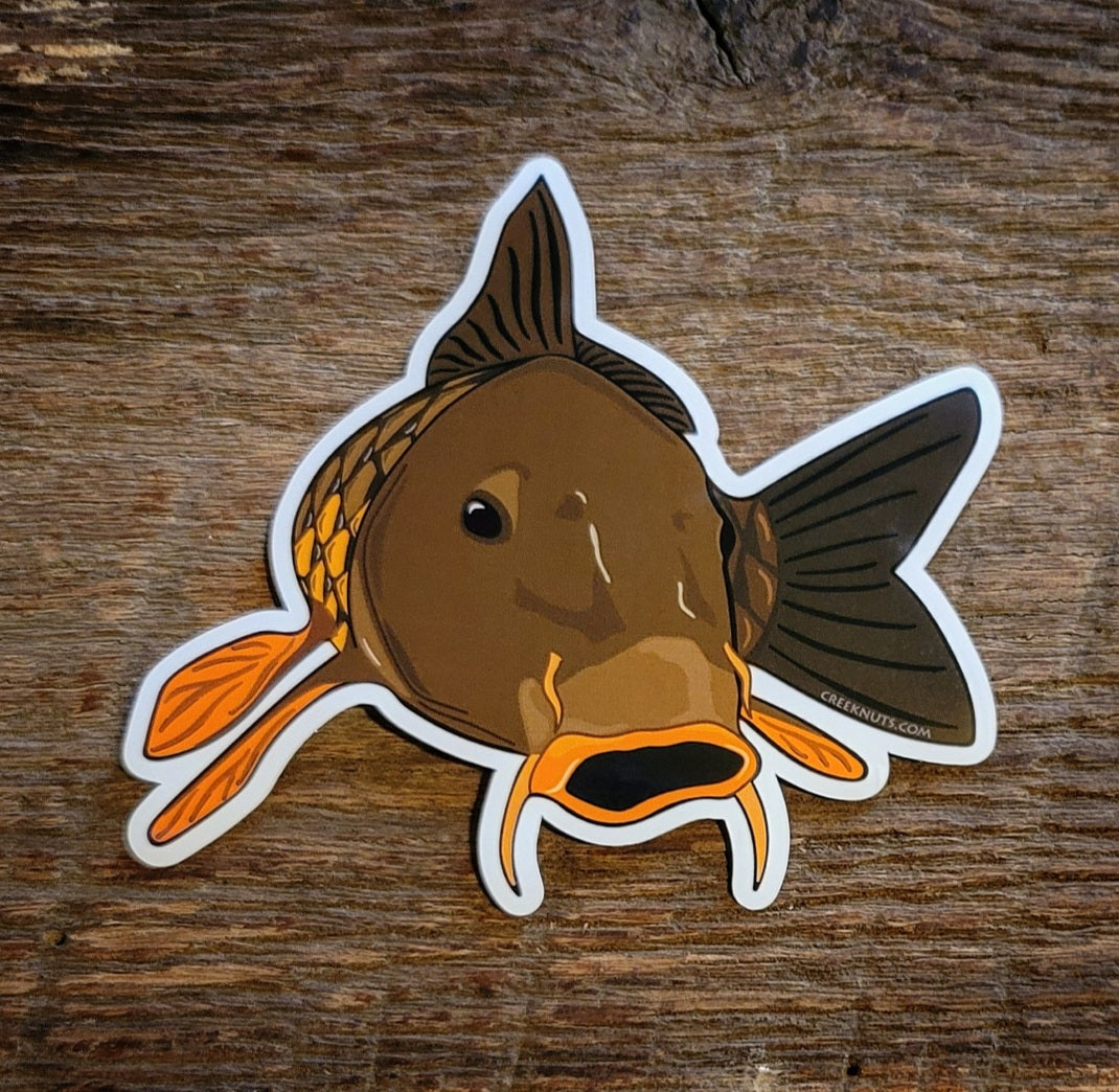 Carp Sticker