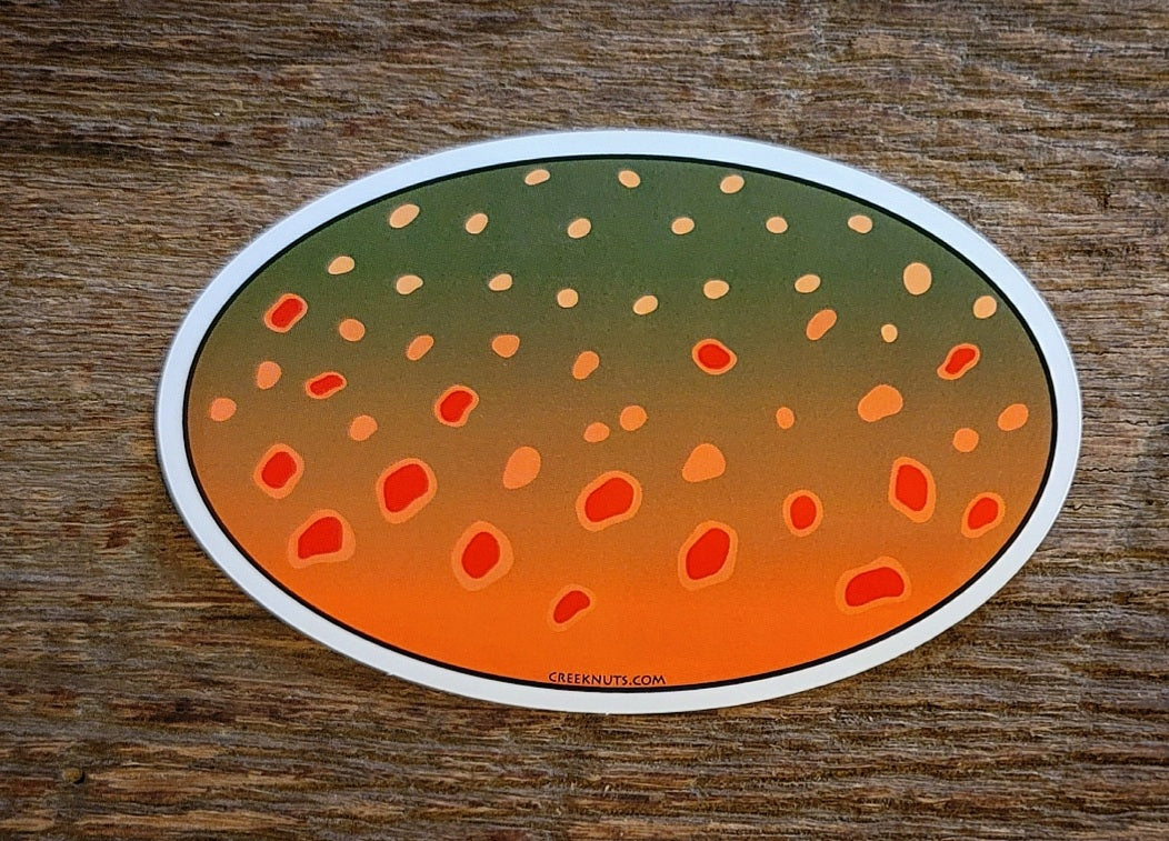 Bull Trout Oval Skin Sticker