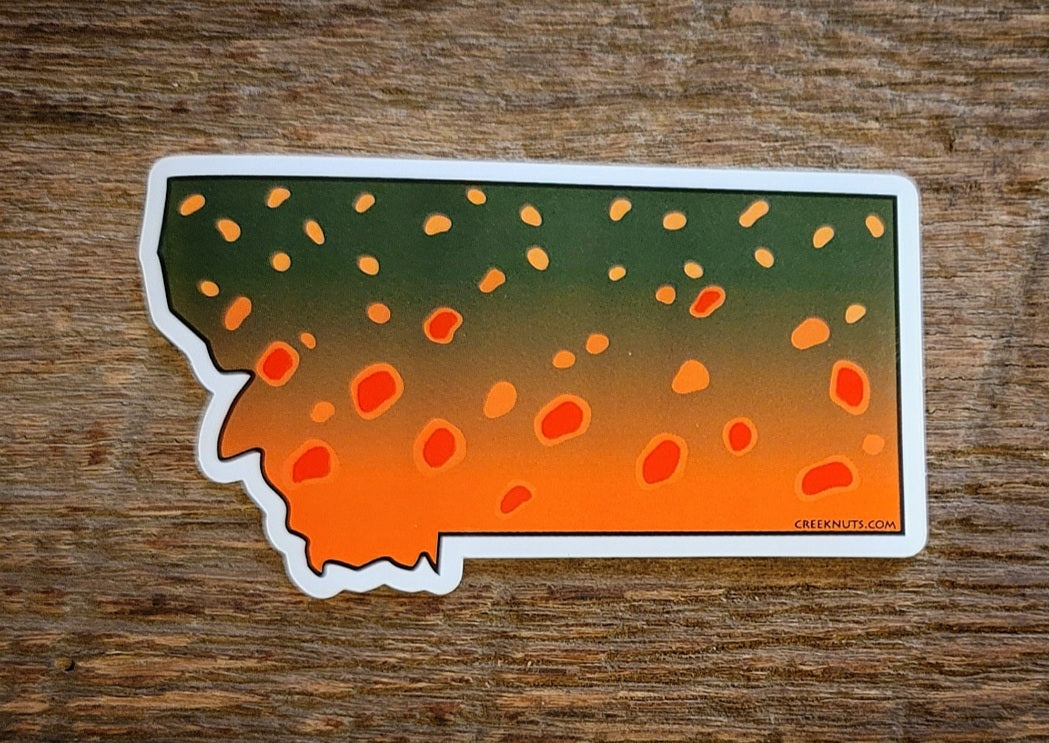 Montana Bull Trout Sticker