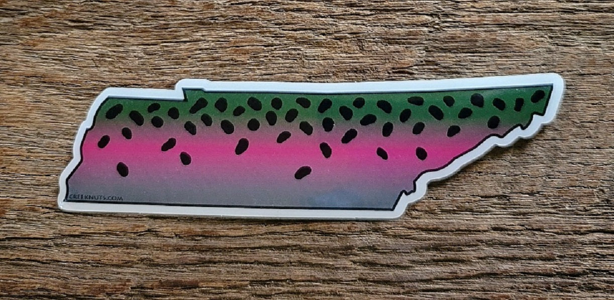 Tennessee Rainbow Trout Sticker