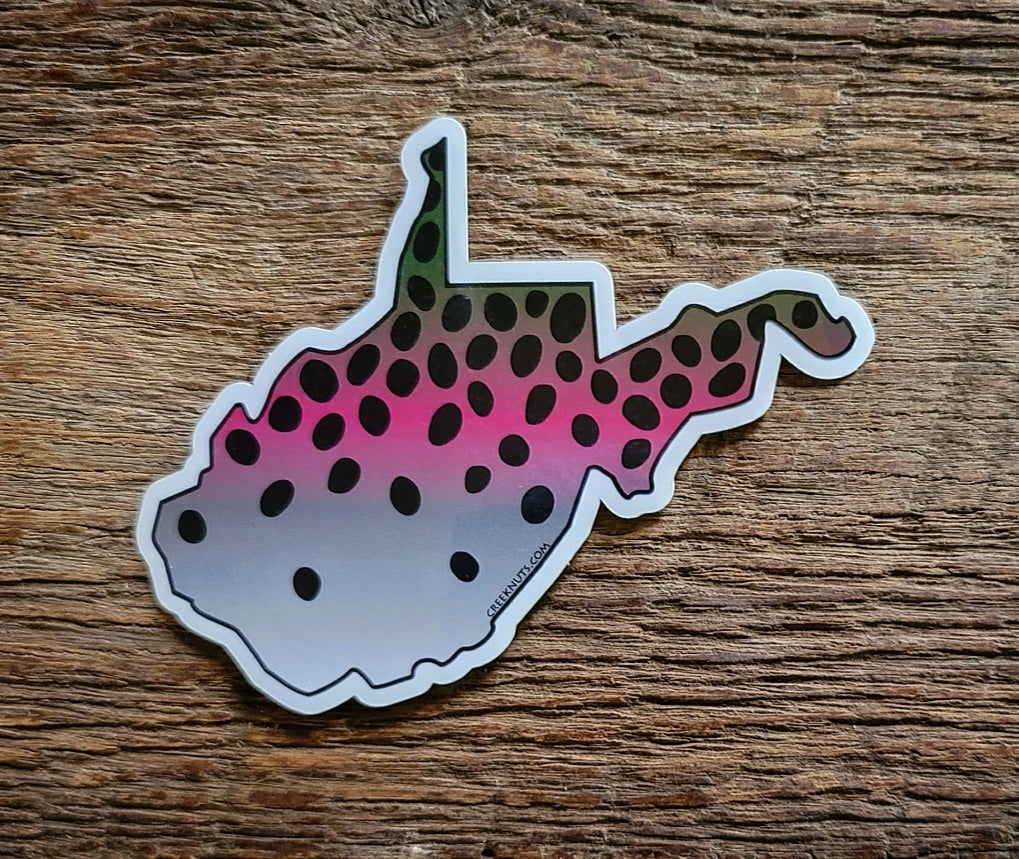 West Virginia Rainbow Trout Sticker