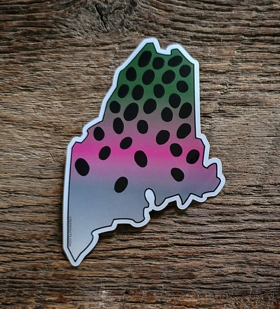 Maine Rainbow Trout Sticker