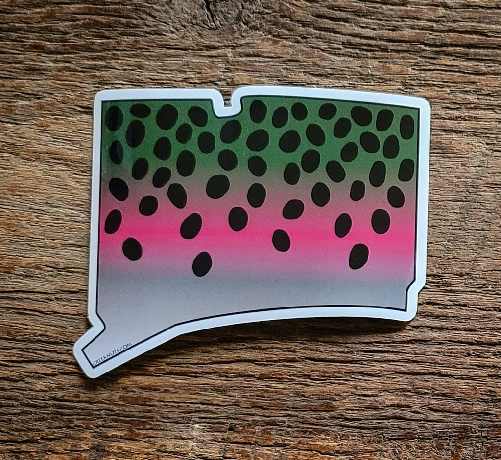 Connecticut Rainbow Trout Sticker