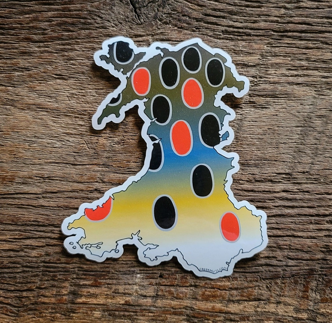 Wales Brown Trout Sticker