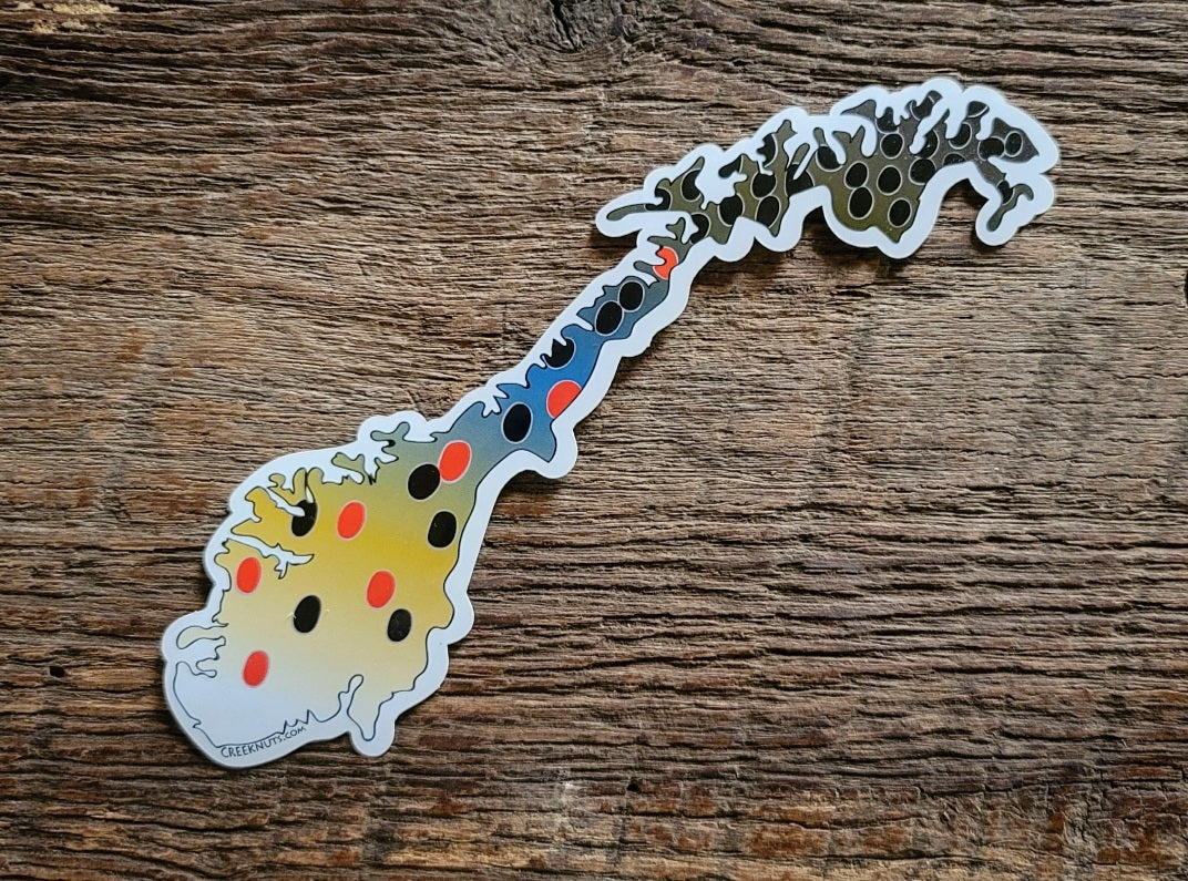 Norway Brown Trout Sticker