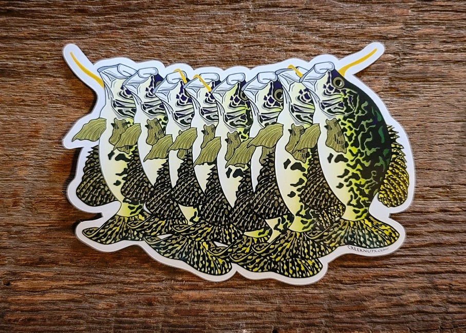 Crappie Stringer Sticker