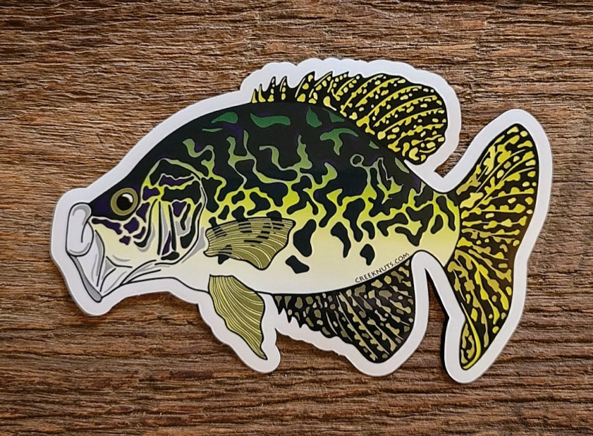 Crappie Sticker