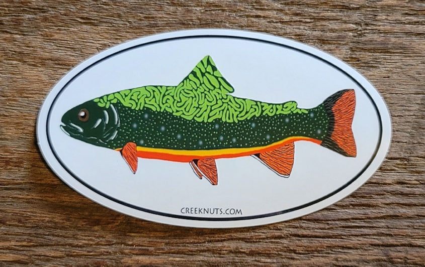 Brook Trout Oval Sticker