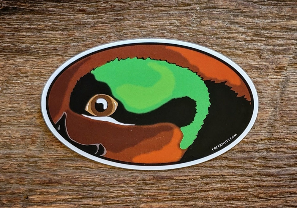 Green Wing Teal Oval Skin Sticker