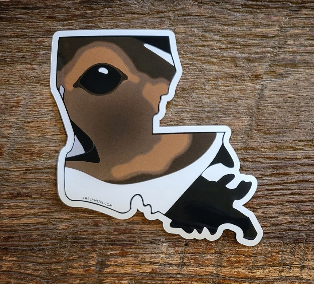 Louisiana Northern Pintail Duck Sticker