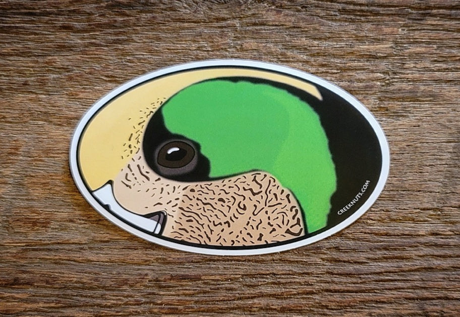 Widgeon Duck Oval Skin Sticker