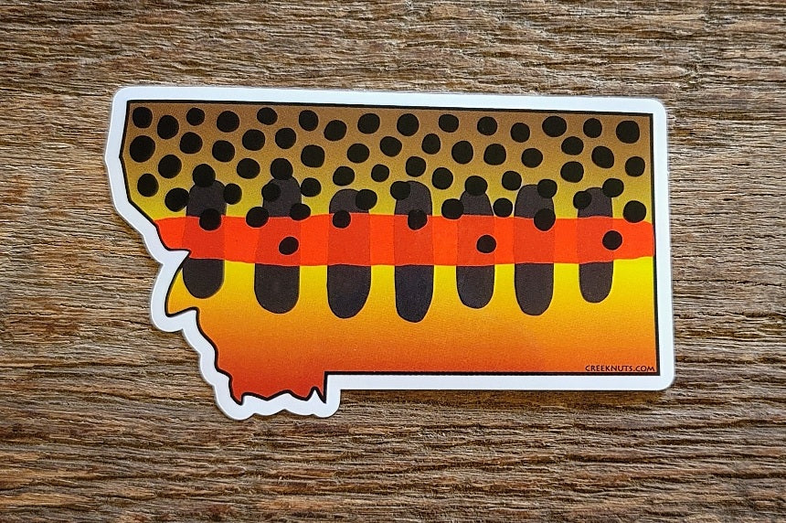 Montana Golden Trout Sticker