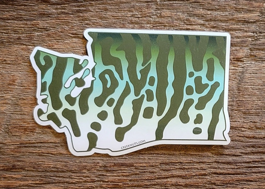 Washington Tiger Musky Sticker