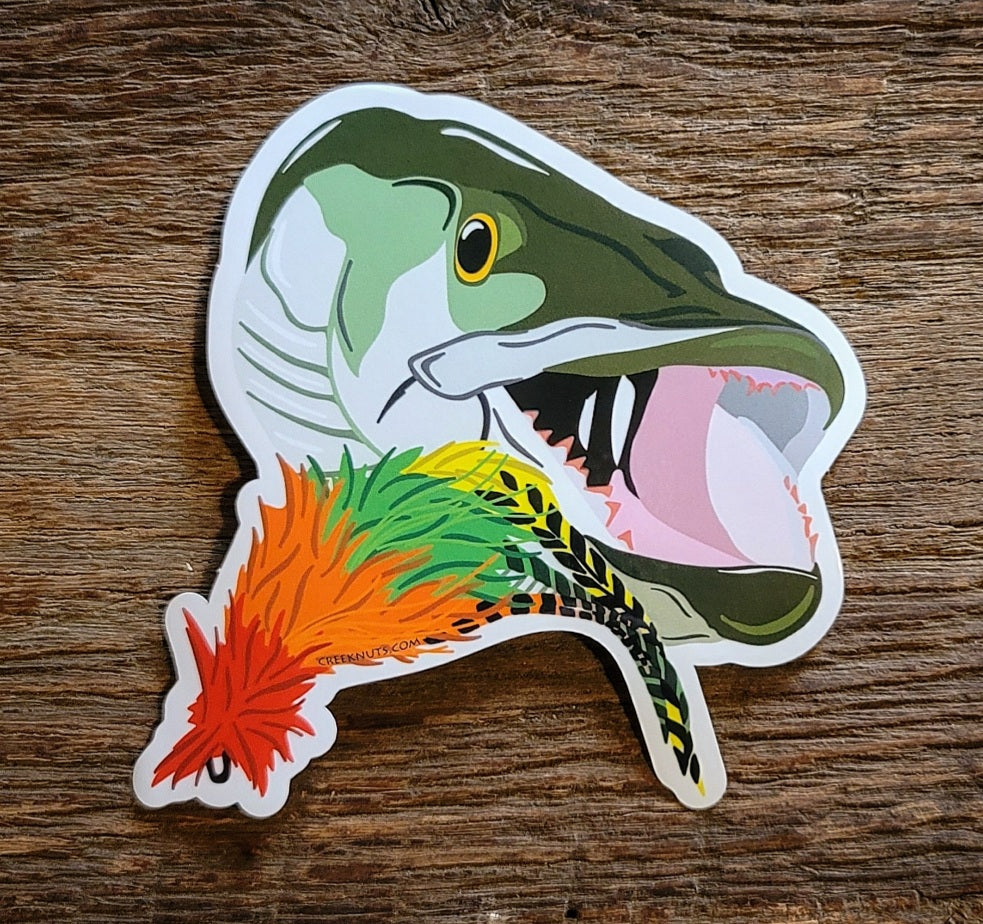 Musky with Fly Sticker