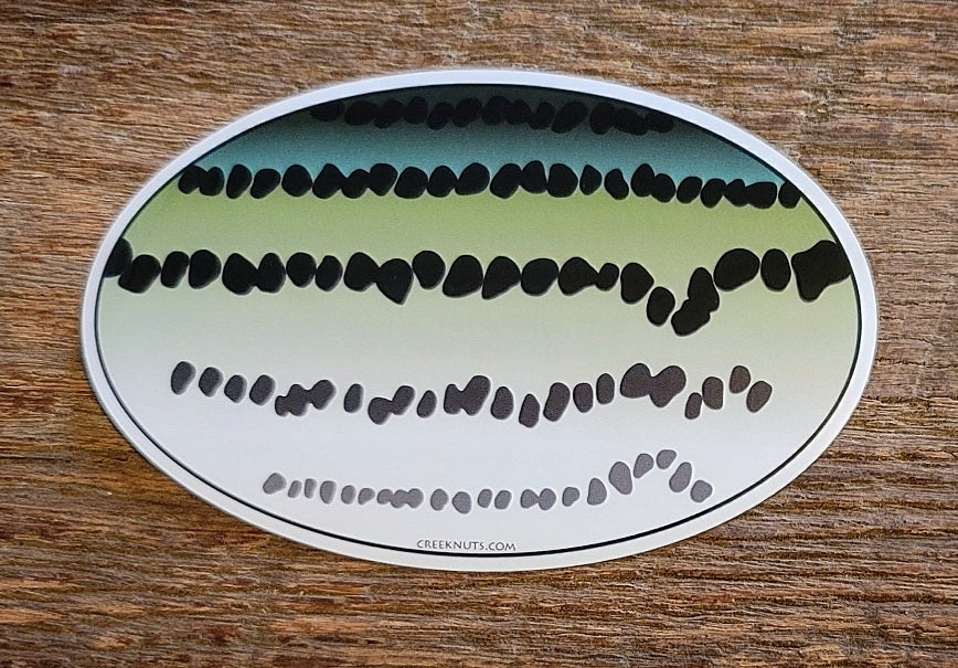 Striper Oval Skin Sticker
