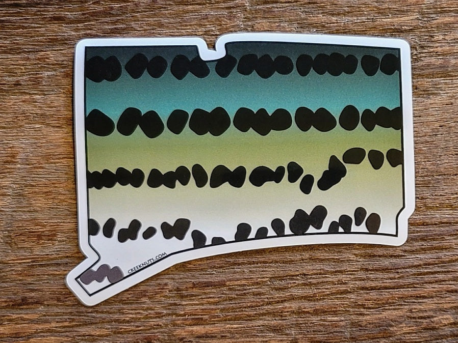 Connecticut Striper Sticker