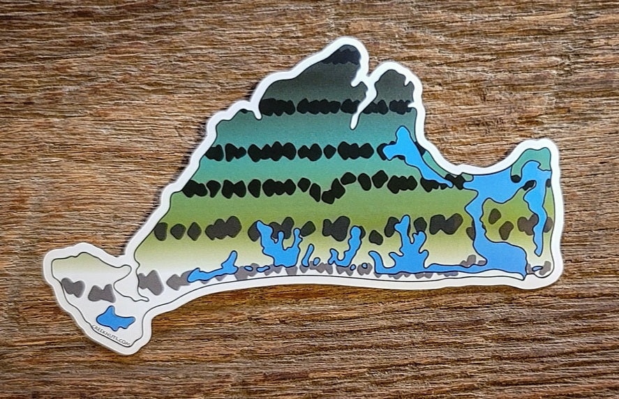 Martha's Vineyard Striper Sticker