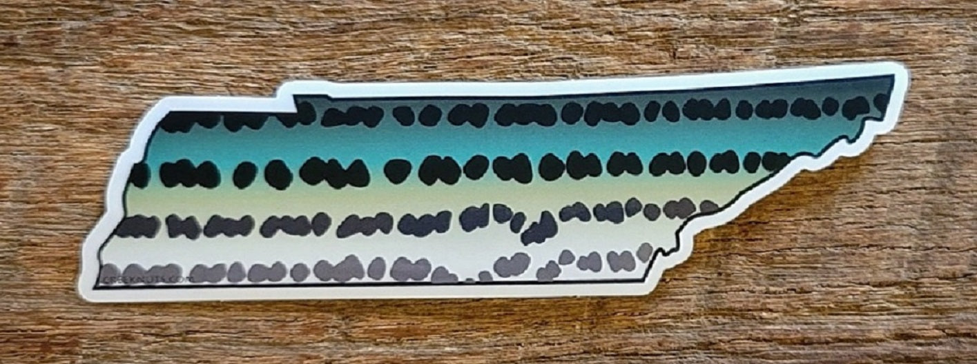 Tennessee Striper Sticker