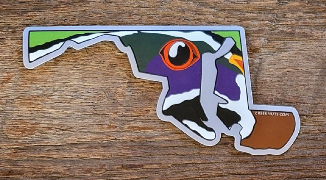 Maryland Wood Duck Sticker