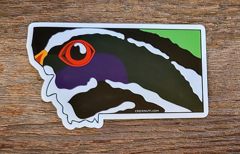 Montana Wood Duck Sticker