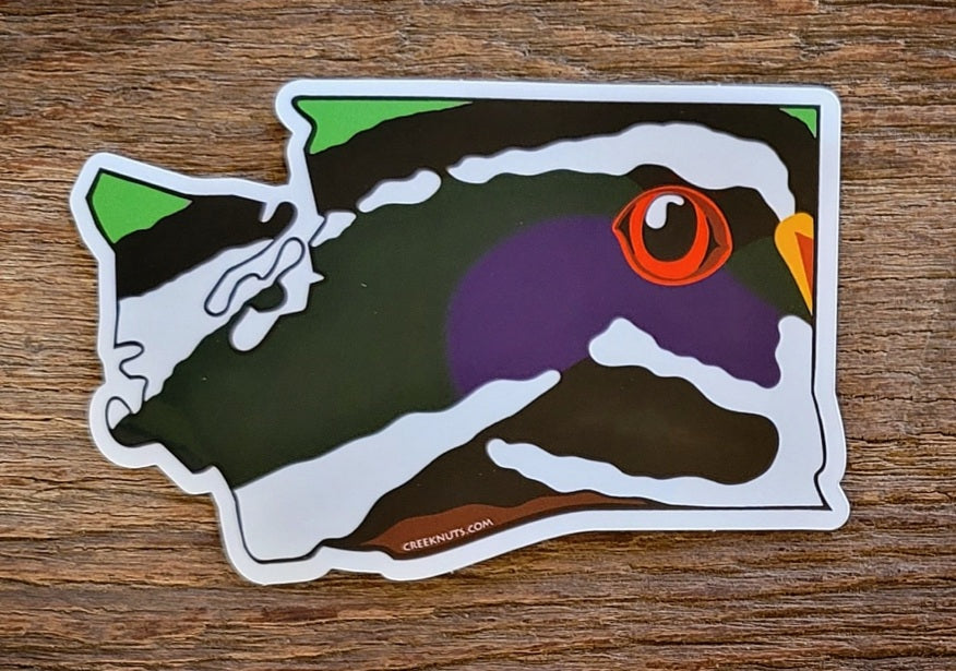 Washington Wood Duck Sticker