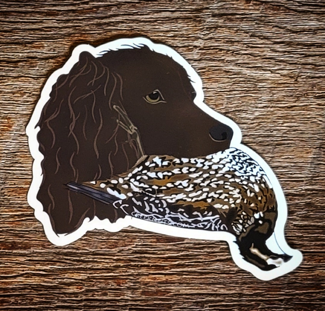 Boykin with Quail Sticker