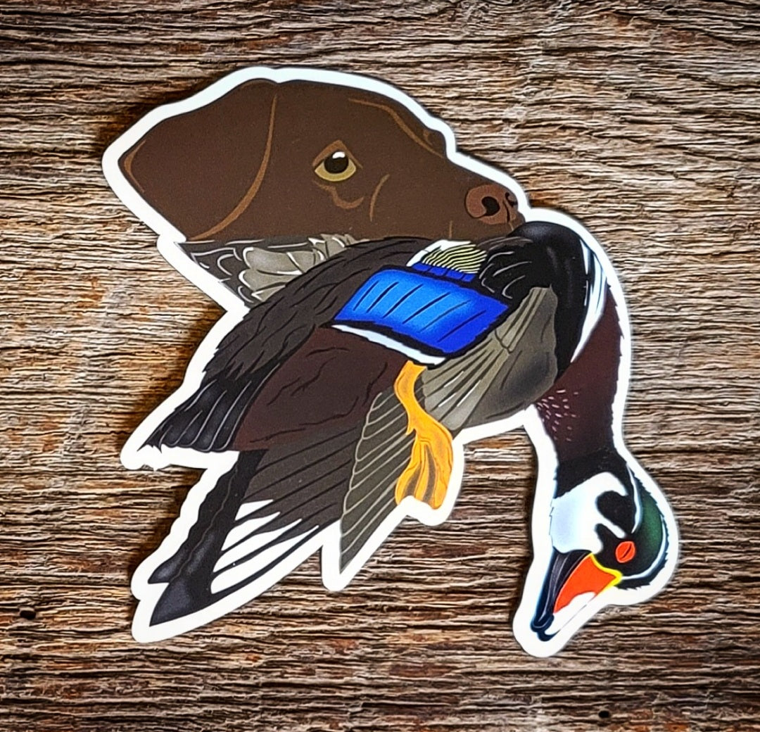 Chocolate Labrador Retriever with Wood Duck Sticker