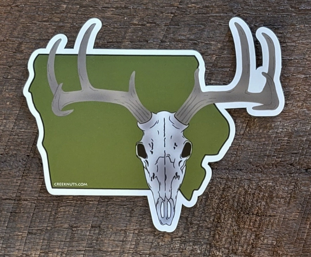 Iowa Whitetail Buck Euro Mount Sticker