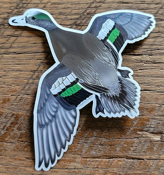 Flying Widgeon Duck Sticker