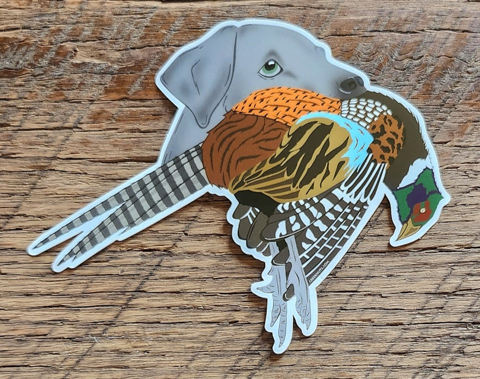 Silver Labrador Retriever with Pheasant Sticker