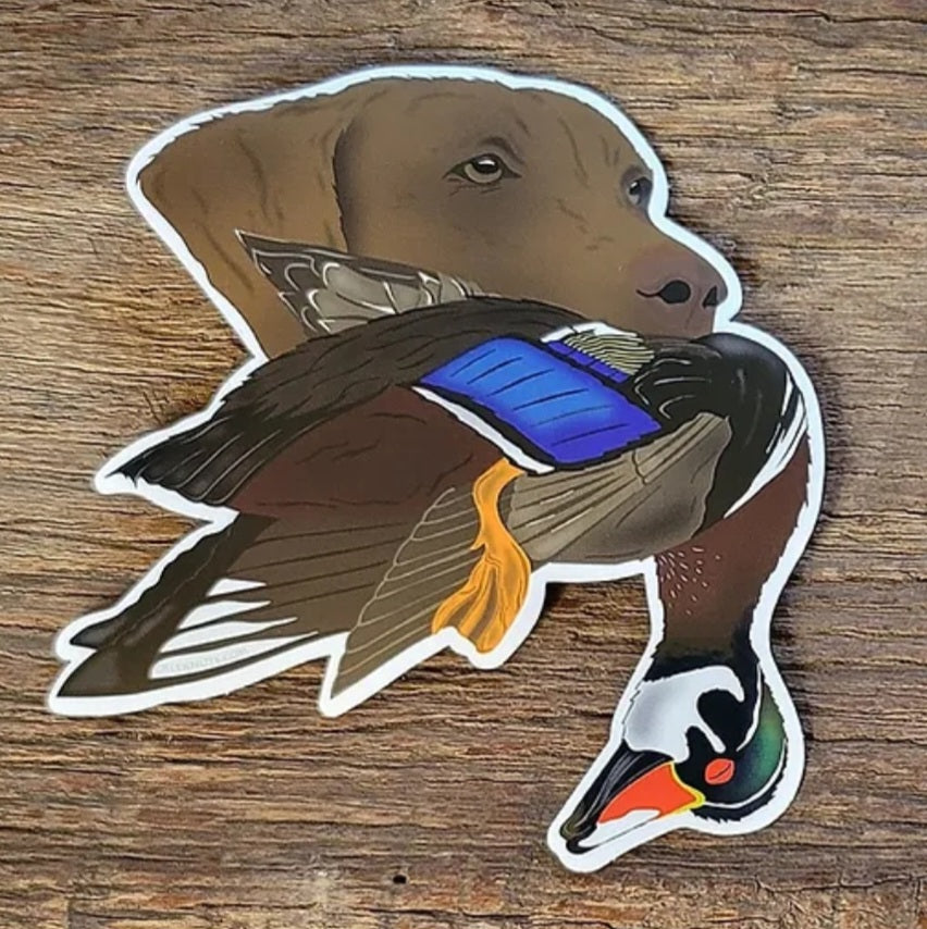 Chesapeake Bay Retriever with Wood Duck Sticker