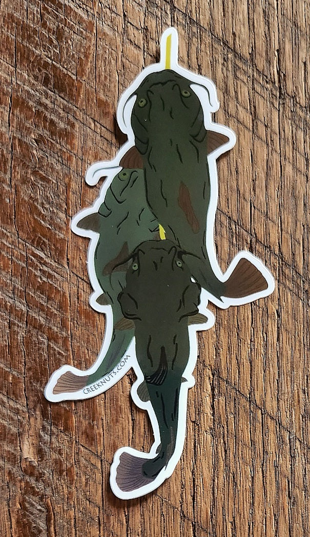 Catfish Stringer Sticker
